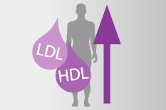 Neben der Menschensilhouette sind Fetttropfen zu sehen, mit dem Aufschrift LDL und HDL, sowie ein großer lila Pfeil nach oben.