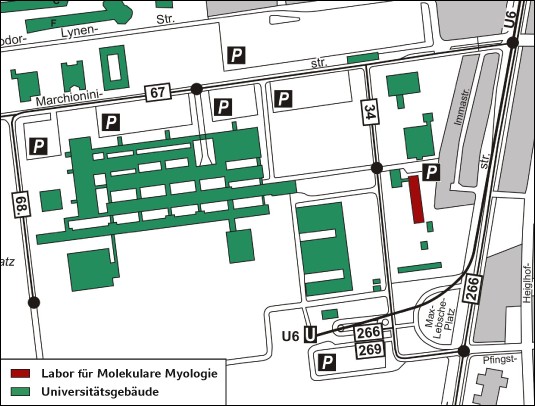 Lageplan des Myologischen Labors des Friedrich-Baur-Instituts auf dem Campus Großhadern