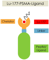Schematische Darstellung des radioaktiv markierten Peptids