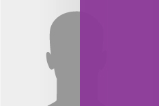 Gesichtsfeldausfall schematisch dargestellt: die Hälfte des Bildes inkl. die Hälfte der grauen Kopfsilhouette ist mit einem lila Feld bedeckt.